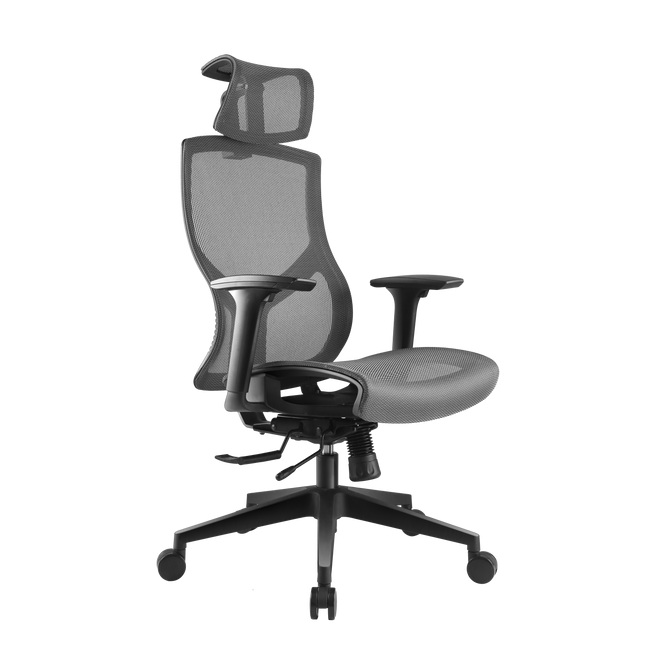 ERGOUP Full Mesh Ergonomic Office Chair - B21 ERGOUP Ergonomic Office Chair